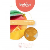 Bolsius wax melts mango geur (25 uur)